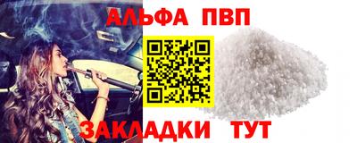 прущие крисы Кингисепп