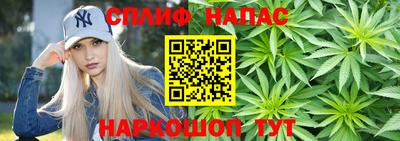 дмт Кинель