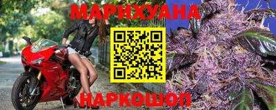 прущие крисы Кингисепп