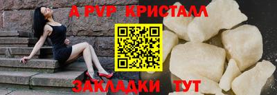 прущие крисы Кингисепп