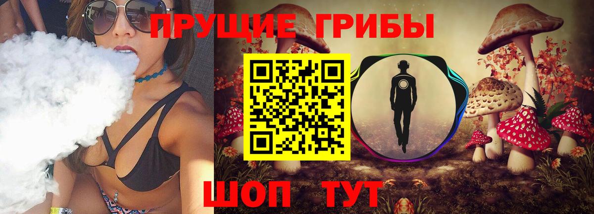 МЕФ Крымск
